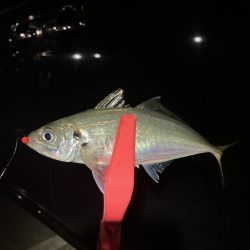 なんとか出ました