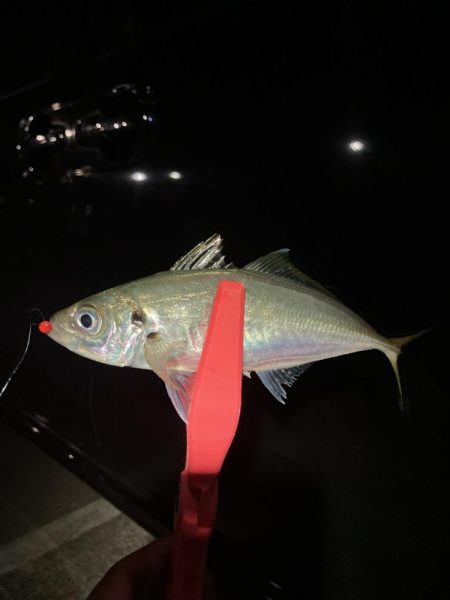 なんとか出ました