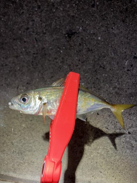 ちょっと渋かった