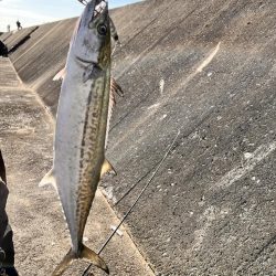 バラしまくったけど