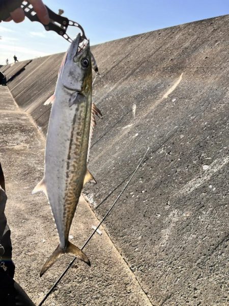 バラしまくったけど