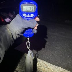 秋🦑　終盤？何とかアオリ🦑釣れた😊