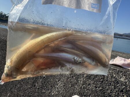 ショアジギング