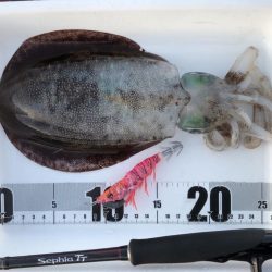 キレイな星空の下で