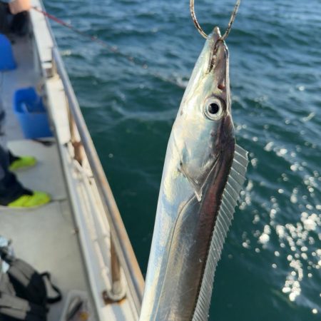 船タチウオ