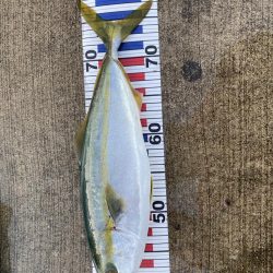 爆釣モードに突入