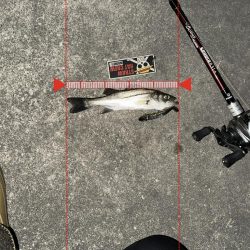 激シブでもボトルは何とかなる！