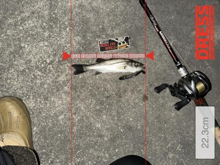 激シブでもボトルは何とかなる！