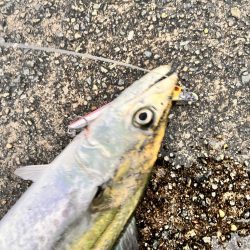 信じて投げ続ける