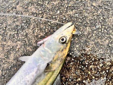 信じて投げ続ける