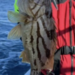 LJでホウキハタ連チャン!