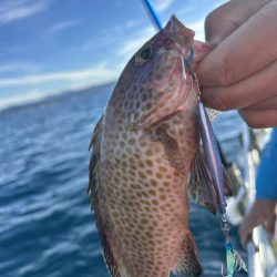 やっぱりSLJはおもしろい!