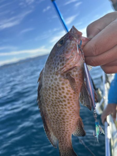 やっぱりSLJはおもしろい!