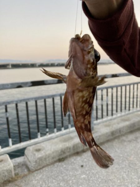貝塚水路　夜釣り