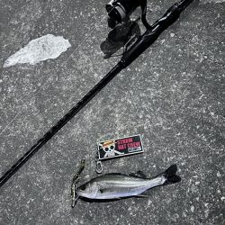 どんどん小さくなる…