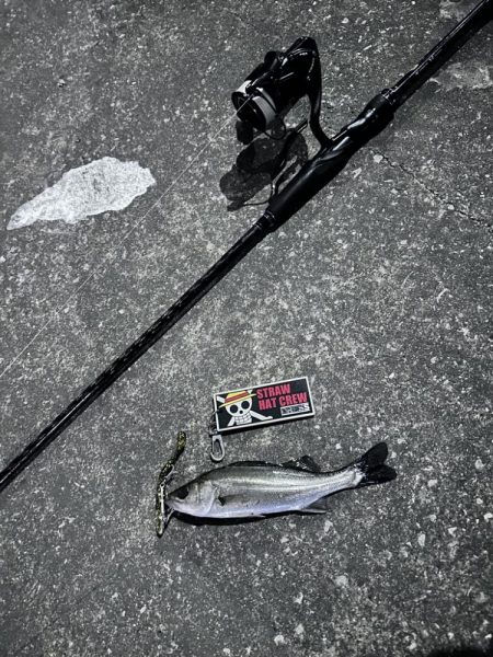 どんどん小さくなる…