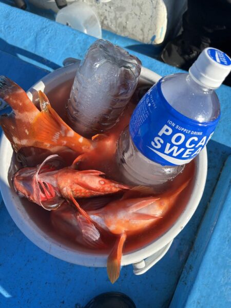 ロックフィッシュ