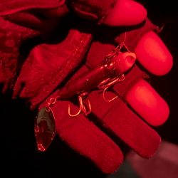 宮川氏！ネクストスピンで釣りました！