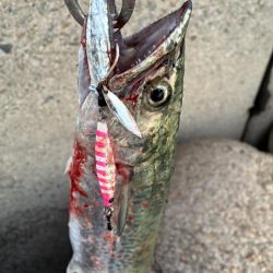 今日も海の恵みに感謝