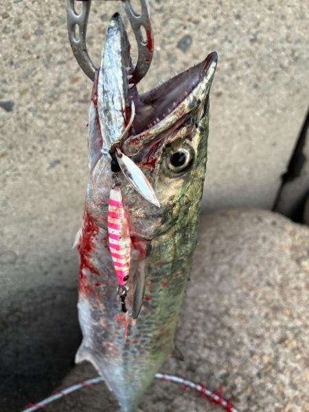 今日も海の恵みに感謝