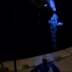 旅先ちょこっとライトゲーム