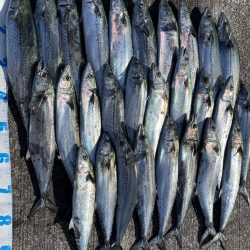 初経験と感謝の日