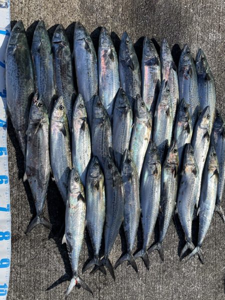 初経験と感謝の日