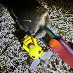 ピカチュウフィッシング