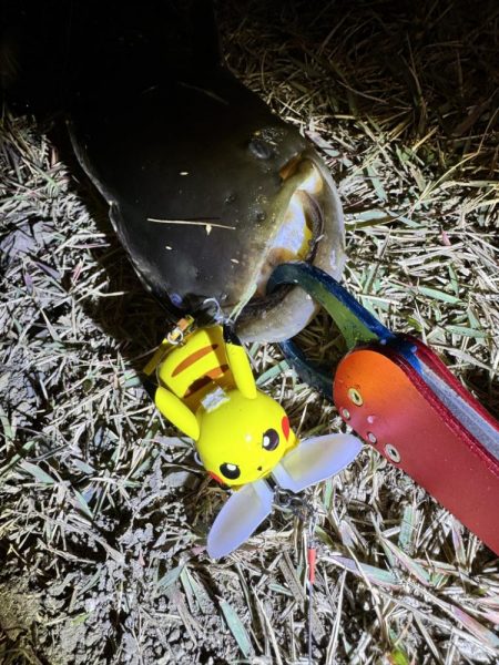 ピカチュウフィッシング