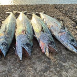 30分のフィーバータイム！