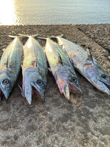 30分のフィーバータイム！