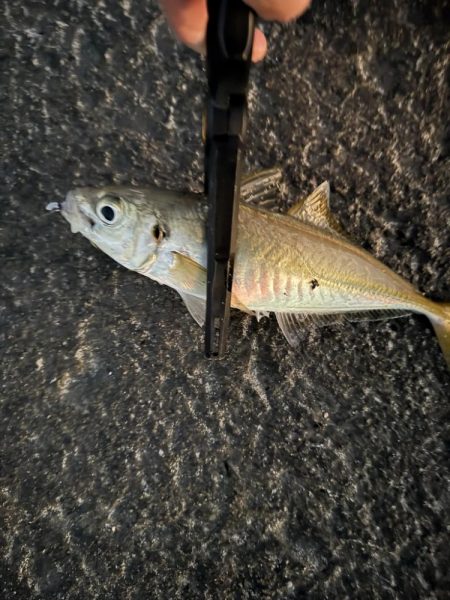 一日中浜辺滞在🌊