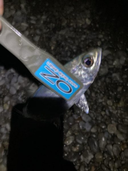 サーフで投げサビキでアジ13匹GET