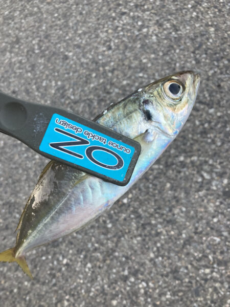 朝マズメのフロートリグでアジGET