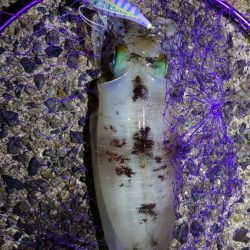 けっこう寒かった