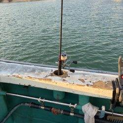 印南ティップラン