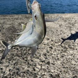 ライトショアジギング