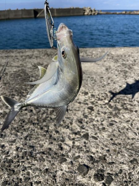 ライトショアジギング