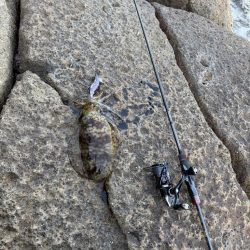 渋いながら嬉しい1杯