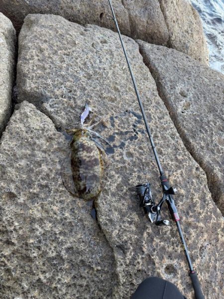 渋いながら嬉しい1杯