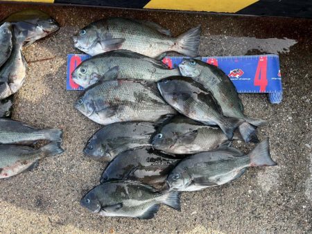 魚津港 フカセ釣り