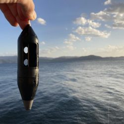 久しぶりの遠投カゴ釣り