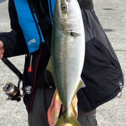 夕まずめの飲ませ