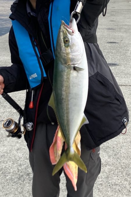 夕まずめの飲ませ