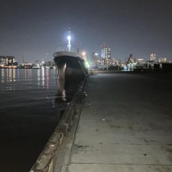 ヒイカが爆釣していると噂