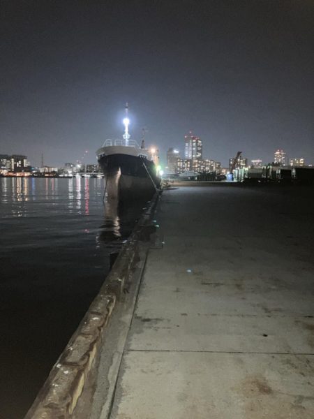 ヒイカが爆釣していると噂