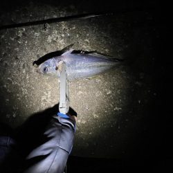 フロートアジング