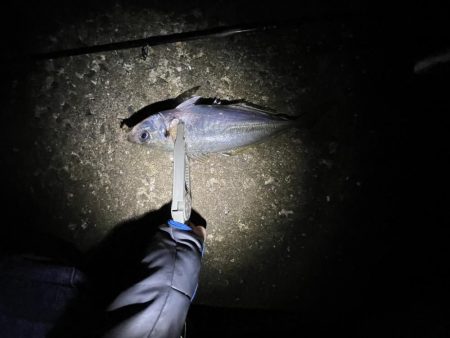 フロートアジング