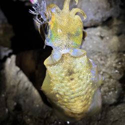 久しぶりのジェット噴射