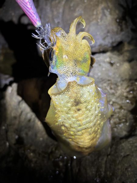 久しぶりのジェット噴射